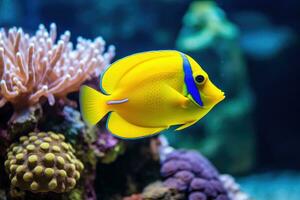 ai gerado amarelo Espiga peixe em coral recife foto