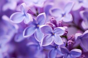 ai gerado lilás Flor macro fundo com cópia de espaço. ai gerado foto