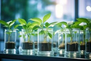 ai gerado plantar pesquisar, verde plantar dentro uma vidro jarra dentro uma laboratório. ecológico Reprodução e plantar desenvolvimento. foto