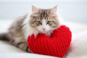 ai gerado gato com uma tricotado coração almofada foto