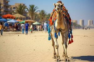 ai gerado camelo em uma trela para turistas dentro Egito generativo ai foto