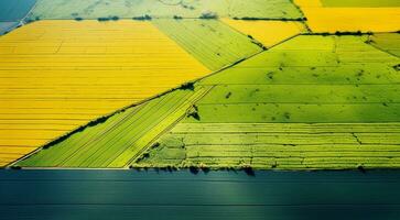 ai gerado panorâmico aéreo Visão do Campos e Relva foto