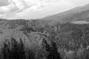 florestas e montanhas dentro verão Preto e branco fundo foto