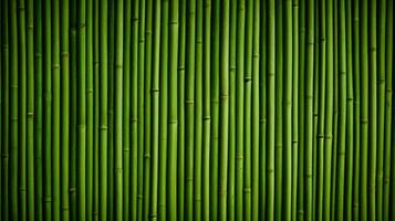 ai gerado horizontal verde bambu fundo textura foto