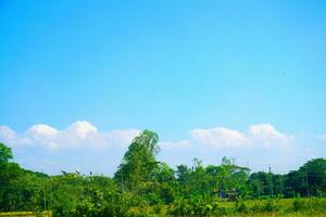 verde gramíneo campo azul céu nuvem dentro luz solar dentro verão panorama fundo imagem. foto