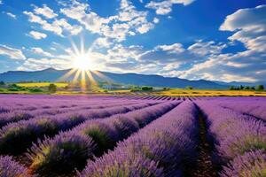 ai gerado lavanda campo dentro Valensole, Provença, França, a expansivo lavanda campo debaixo a provence sol, ai gerado foto