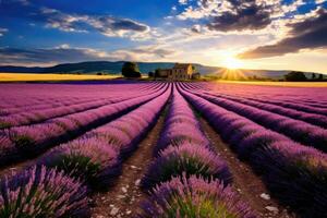 ai gerado lavanda campo às pôr do sol dentro Provença, França, a expansivo lavanda campo debaixo a provence sol, ai gerado foto