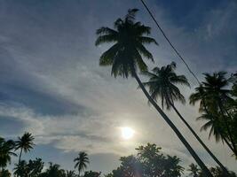 lindo pôr do sol tropical de praia com coco árvores e azul céu para viagem e período de férias dentro relaxante feriado Tempo foto