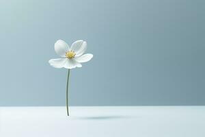 uma solteiro branco flor em uma avião fundo generativo ai foto