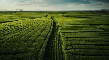 ai gerado panorâmico aéreo Visão do Campos e Relva foto