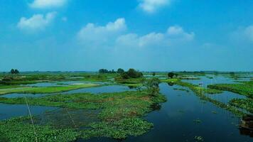 lindo sempre-verde Vila dentro Bangladesh foto