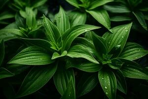 ai gerado dinâmico beleza cativante imagem do verde folhas graciosamente suspenso dentro a ar ai gerado foto