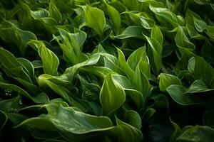 ai gerado aéreo balé folhas dentro meio ar criando uma hipnotizante exibição do naturezas movimento ai gerado foto