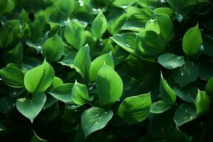 ai gerado dinâmico beleza cativante imagem do verde folhas graciosamente suspenso dentro a ar ai gerado foto