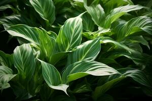 ai gerado aéreo balé folhas dentro meio ar criando uma hipnotizante exibição do naturezas movimento ai gerado foto