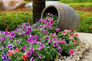 colorida petúnias dentro a flor jardim estão ambos plantado dentro a terra e dentro com estampa de dragão potes, uma tailandês cerâmica. foto