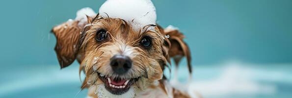 ai gerado feliz terrier com ensaboado espuma, sorridente durante aliciamento sessão, animal Cuidado e higiene tema foto