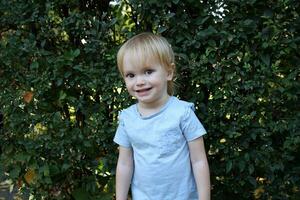 retrato do uma 2 ano velho loiro menina em uma fundo do folhas. caucasiano criança com grande olhos parece às a Câmera e sorri. foto
