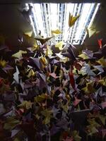 feito à mão colori origami guindastes em teto cordas debaixo luz luminária foto