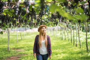 feliz jardineiro de mulheres jovens segurando ramos de uva azul madura foto