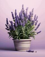 ai gerado lavanda dentro uma branco minimalista Panela com roxa fundo foto