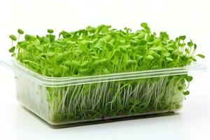 ai gerado eco verduras dentro transparente caixa. exuberante microgreens alojado dentro uma recipiente. adequado para culinária e dietético usar. isolado em branco fundo foto