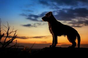 ai gerado cachorros silhueta graças a horizonte contra uma pitoresco pôr do sol foto