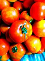 benefícios do tomates 1ajuda dentro peso perda 2bom para olhos 3melhora digestão 4previne Câncer 5sangue pressão foto