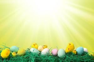 imagem de feriado de páscoa com ovos de pintinhos e grama foto