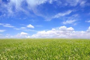 lindo campo de grama verde e céu azul nublado foto