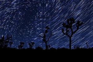 trilhas de estrelas de longa exposição no parque nacional joshua tree foto