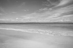 cena tranquila de praia em preto e branco. paisagem dramática da costa da ilha, céu escuro com águas calmas. costa tropical monocromática, areia fofa, beira-mar natural ao ar livre. férias de viagem de verão abstrato de luxo foto