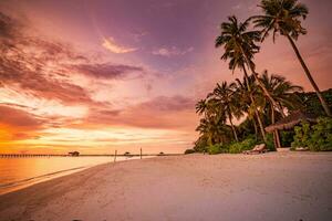 ilha palmeira mar praia de areia. paisagem panorâmica da praia. inspirar horizonte de paisagem marinha de praia tropical. laranja e dourado pôr do sol céu calma tranquilo relaxante clima de verão. bandeira de férias de viagem de férias foto