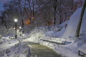 Central Park no inverno após tempestade de neve foto