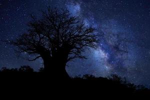 estrela rastreia leite no céu noturno da áfrica do sul foto