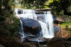 cascata dentro floresta com Rocha primeiro plano foto