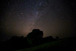 Estrela em céu às noite Tempo foto