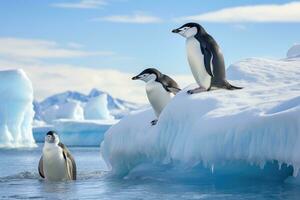 ai gerado gentoo pinguins e pintinho em gelo floe dentro Antártica, cinta de queixo pinguins, pygoscelis Antártica, em a iceberg fora a sul Shetland ilhas, ai gerado foto