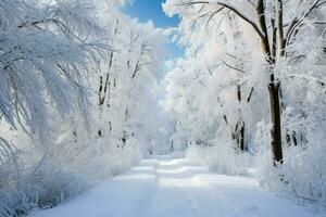 ai gerado Nevado floresta caminhos - generativo ai foto