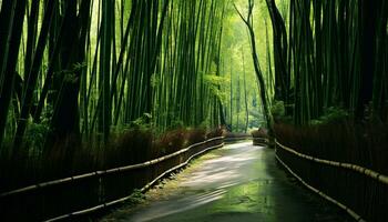 ai gerado tranquilo bambu Arvoredo, verde folhas, natureza beleza gerado de ai foto