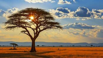 ai gerado silhueta do acácia árvore dentro africano pôr do sol gerado de ai foto