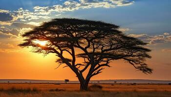 ai gerado silhueta do acácia árvore dentro africano pôr do sol gerado de ai foto