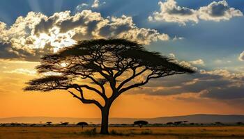 ai gerado silhueta do acácia árvore dentro africano pôr do sol gerado de ai foto