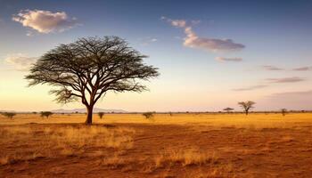 ai gerado silhueta do acácia árvore dentro africano savana gerado de ai foto