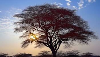 ai gerado silhueta do árvore ramo contra brilhante pôr do sol céu gerado de ai foto