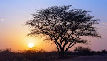 ai gerado silhueta do acácia árvore dentro africano pôr do sol gerado de ai foto