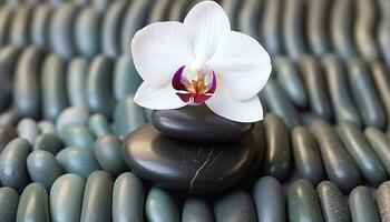 ai gerado relaxamento dentro natureza, orquídea pétala em pedra gerado de ai foto