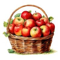 ai gerado aguarela ilustração do maduro vermelho maçãs dentro uma cesta em branco fundo foto