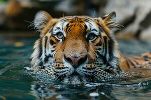 ai gerado tigre refrescante e nada dentro uma lagoa foto