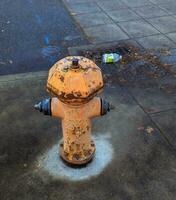 fogo Hidrante carrinhos alta em uma cidade rua dentro Portland, EUA, simbolizando segurança, emergência preparação foto